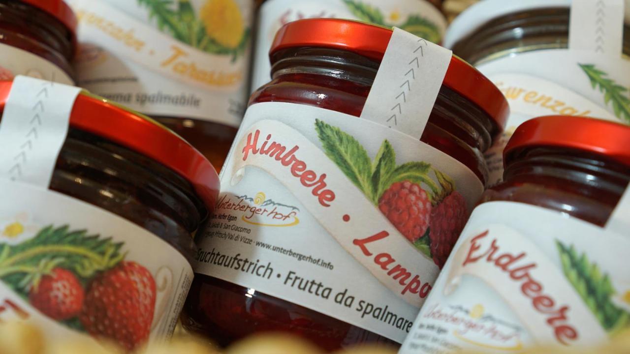 Willa Unterbergerhof Val di Vizze Zewnętrze zdjęcie