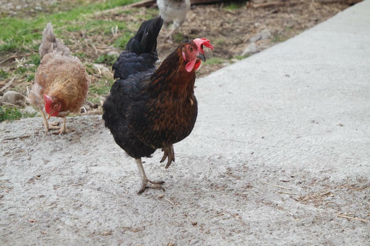 Willa Unterbergerhof Val di Vizze Zewnętrze zdjęcie