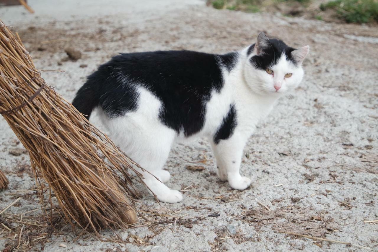 Willa Unterbergerhof Val di Vizze Zewnętrze zdjęcie
